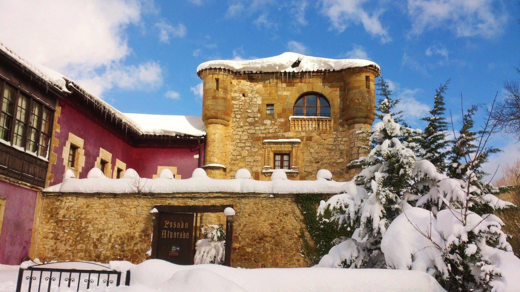 Palacio De Los Alvarado En Las Merindades El Ribero Buitenkant foto