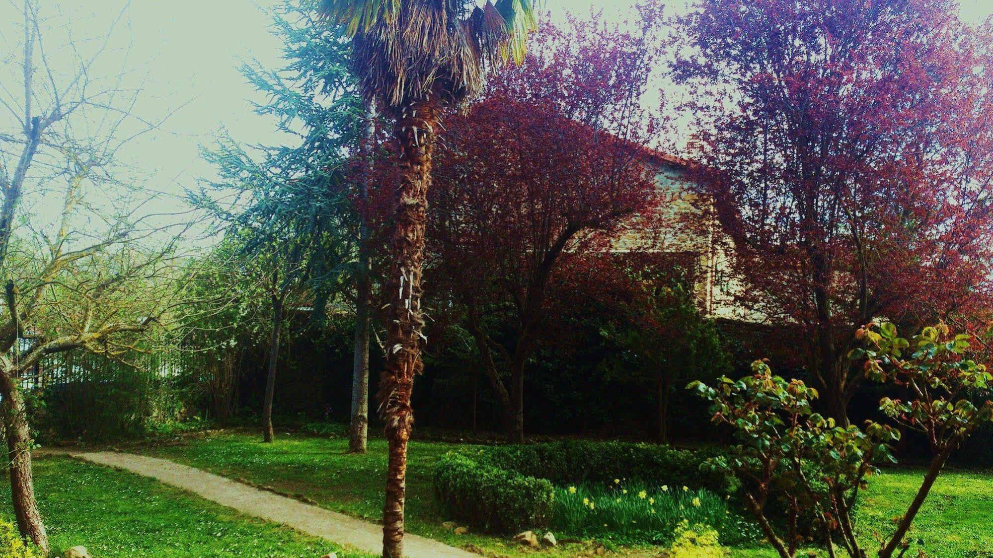 Palacio De Los Alvarado En Las Merindades El Ribero Buitenkant foto
